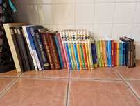 Conjunto de enciclopédias e livros vários
