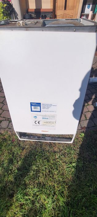 Immergaz victrix zeus
