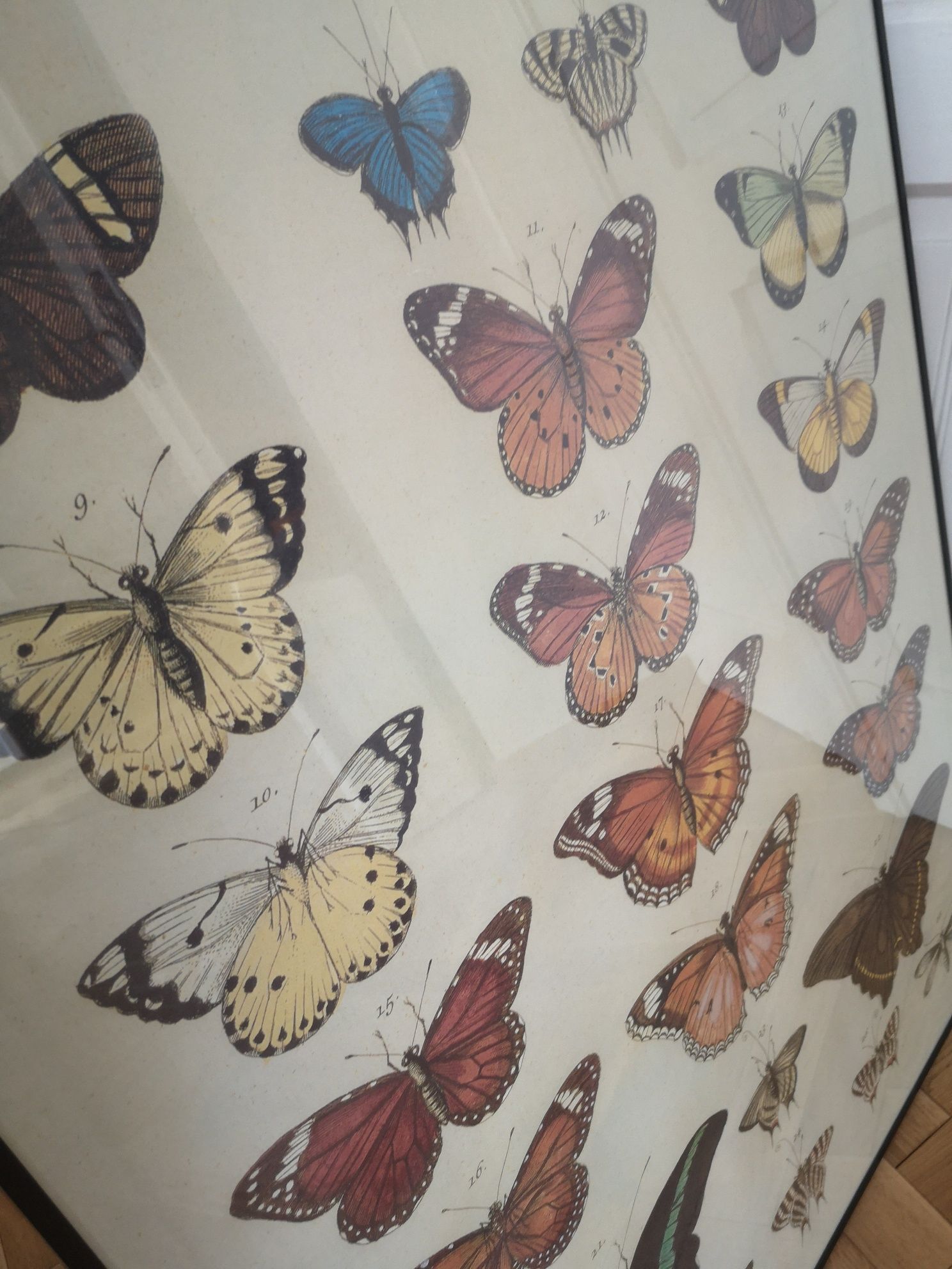 Ikea duży obraz rama amtyrama plakat motyle boho retro 71x101