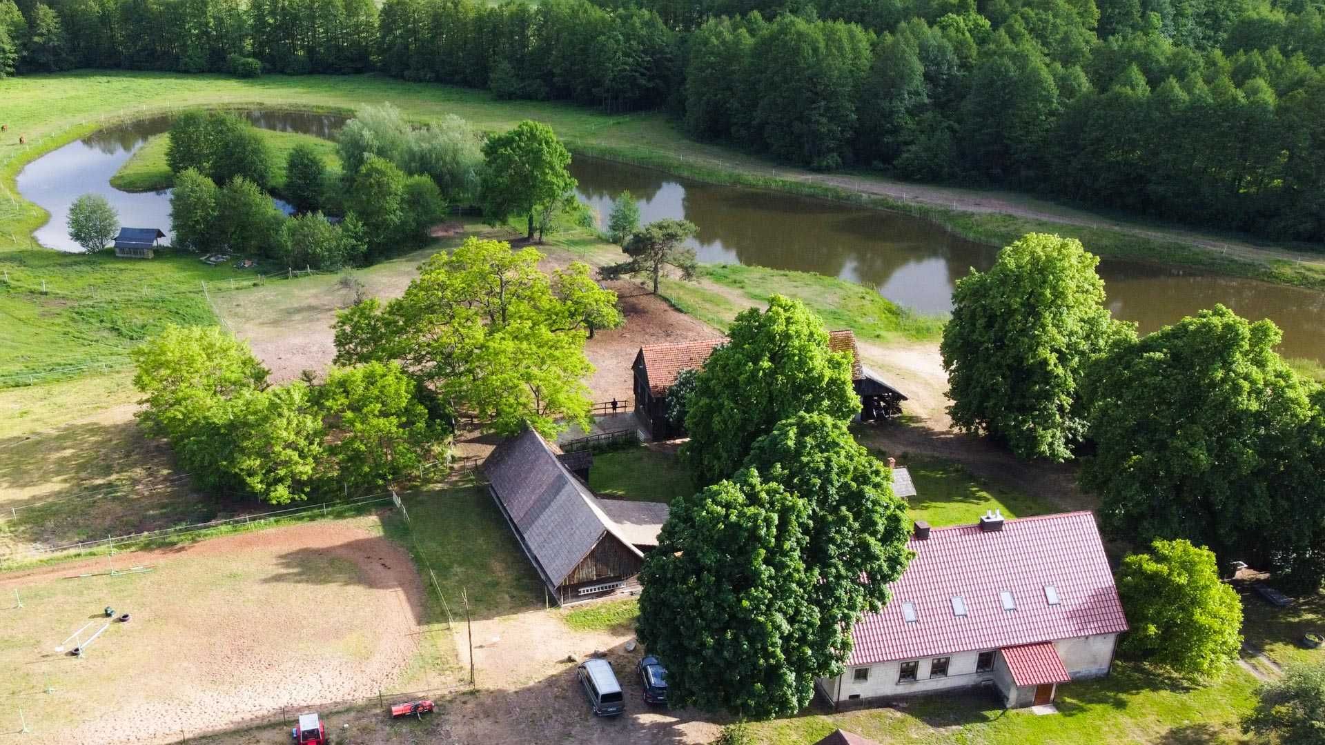 Agroturystyka nad stawem