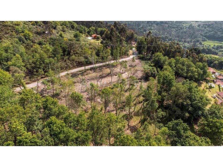 Ruína para restauro