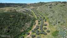 Terreno em Veiga de Lila de 72000,00 m2