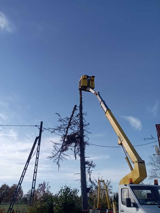 Wycinka drzew, podnośnik koszowy, usuwaniekorzeni, czyszczenie działek
