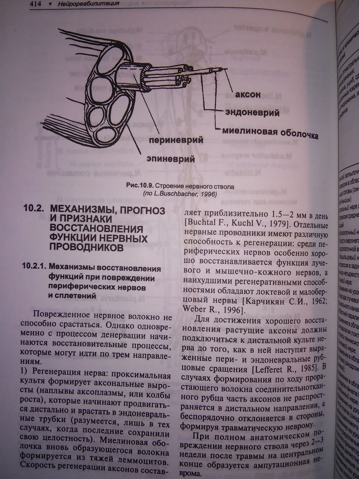 Белова Нейрореабилитация руководство 2000