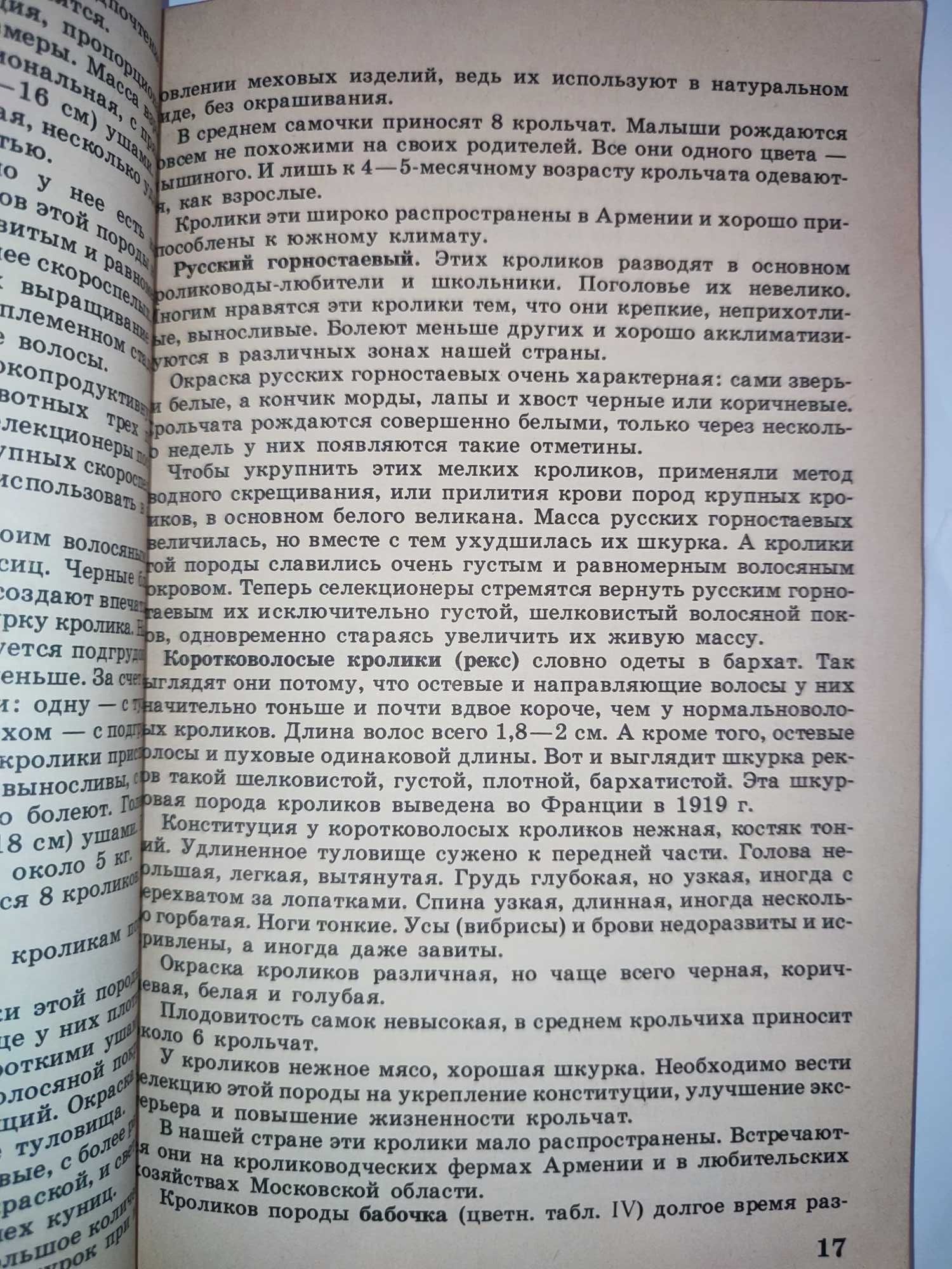 Юному кролиководу разведение кролей кролики Синадская