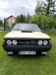 Polonez Borewicz
