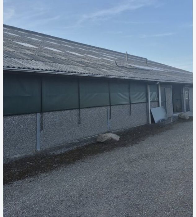 Obora/Hala dla Bydła 1800m2