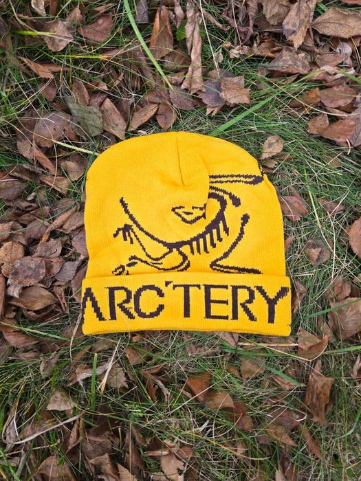 Шапка Arc’teryx Bird Word Toque