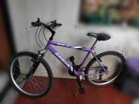 Bicicleta Seminova