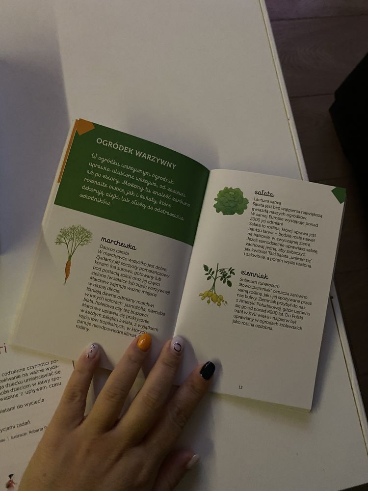 Biblioteczka Montessori Ogród