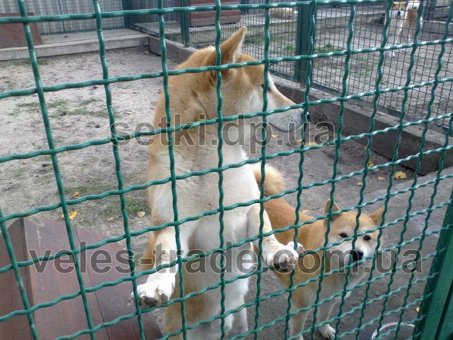 Сетка для вольера