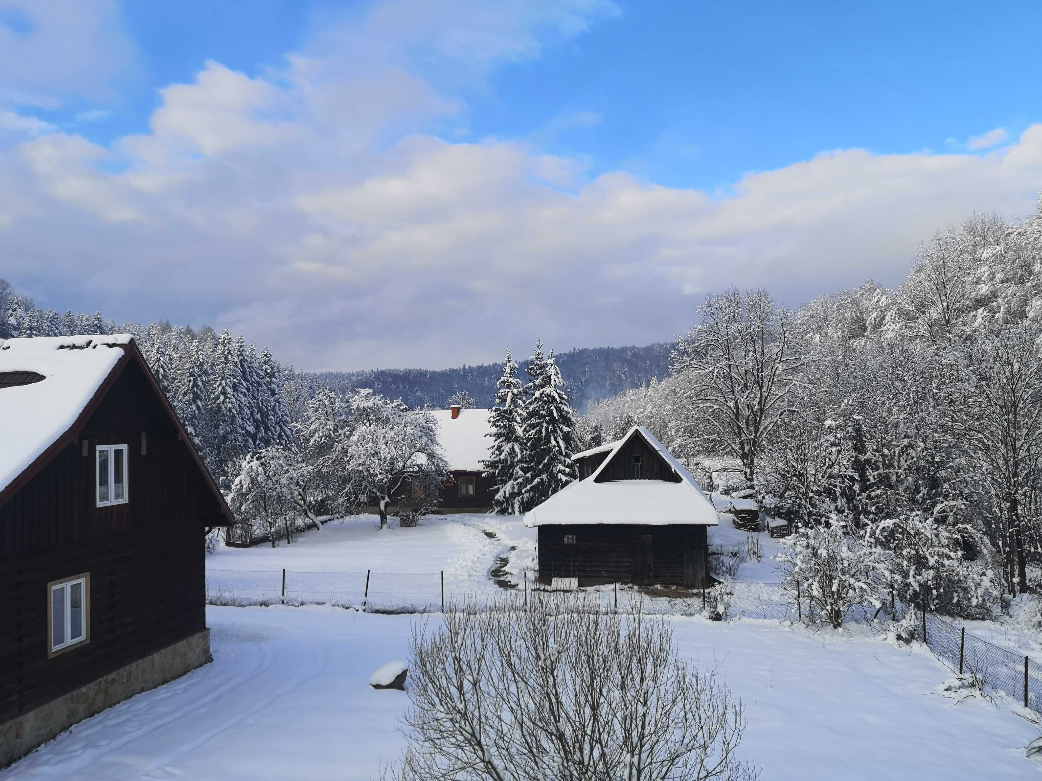 Domek Bieszczady Apartament Pokoje Noclegi