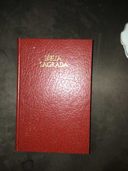 livro biblia sagrada capa vermelha