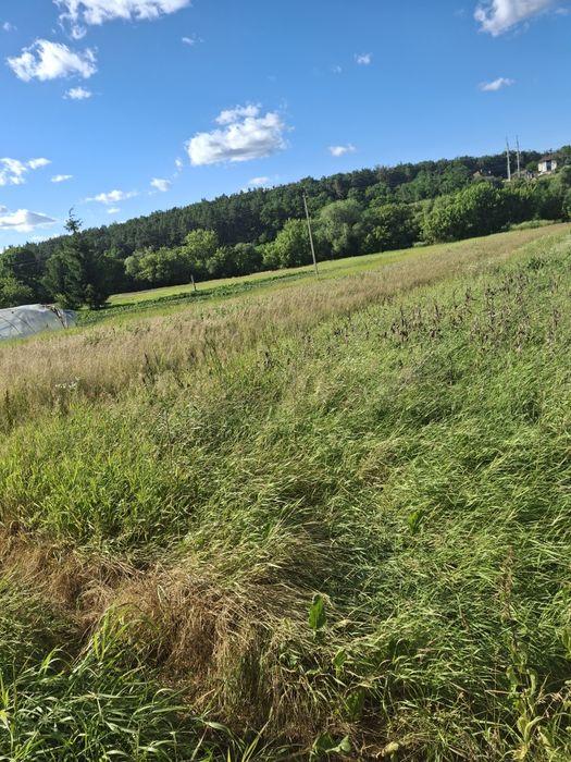 Земельна ділянка Станишівка