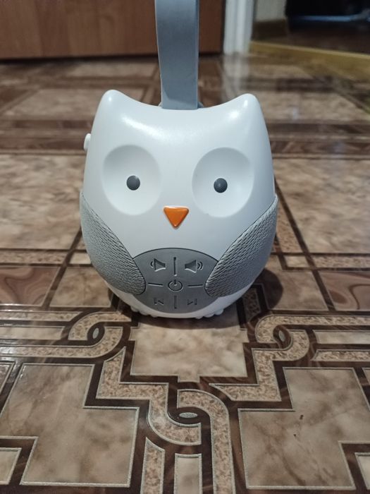 Sowa wydająca szumy oraz inne melodyjki