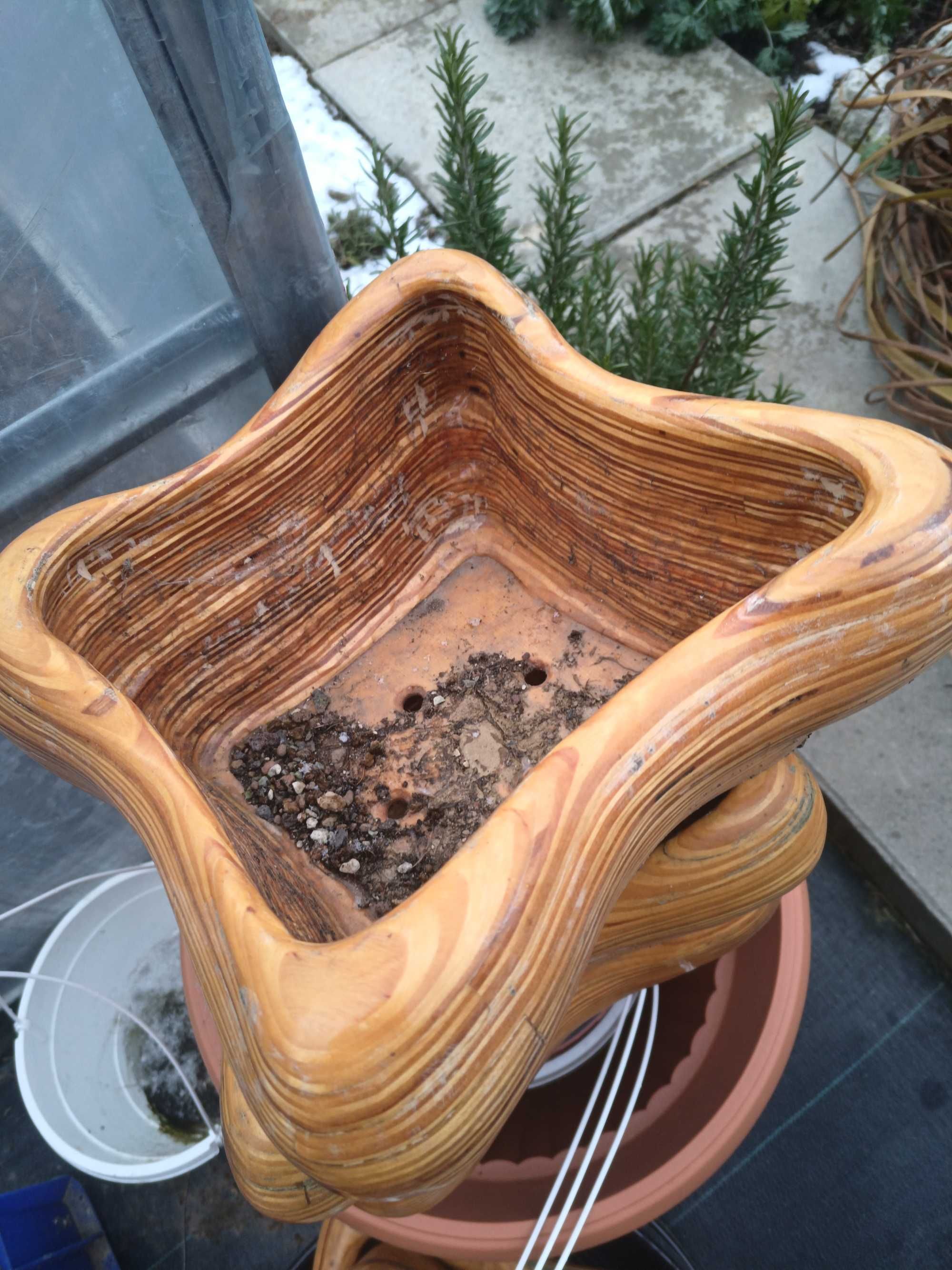Donice bonsai bougenwilla