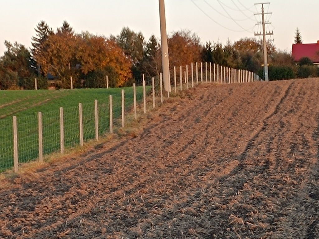 Ogrodzenie tymczasowe słupek betonowy drewniany siatka leśna