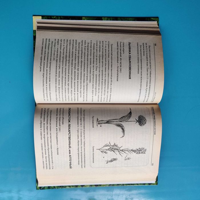 Справочник лекарственных растений