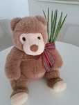 Peluche castanho
