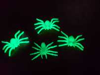 4 pająki fluorescencyjne