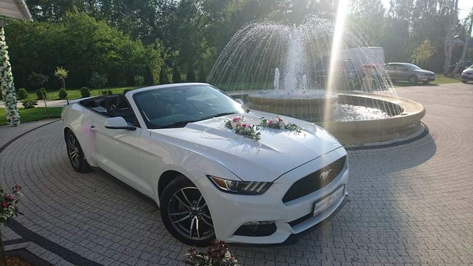 Wynajem Biały Ford Mustang Cabrio 2016 Do ślubu