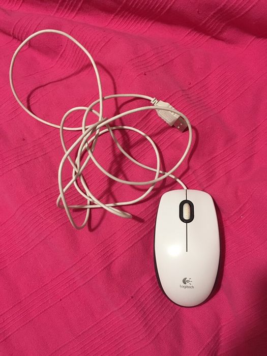 Rato para computador
