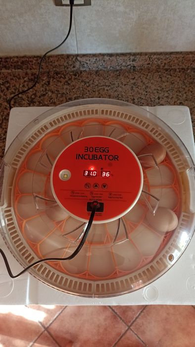 Chocadeira automática 30 ovos