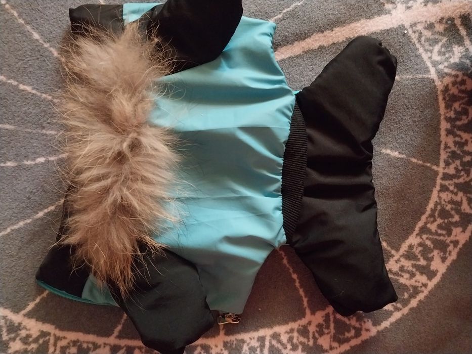 Одежда для маленьких собак