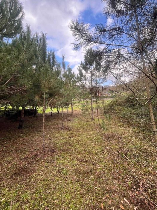 Arrendo Terreno para cultivo e lazer