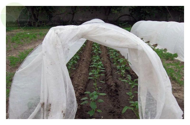 агроволокно, чорне та біле