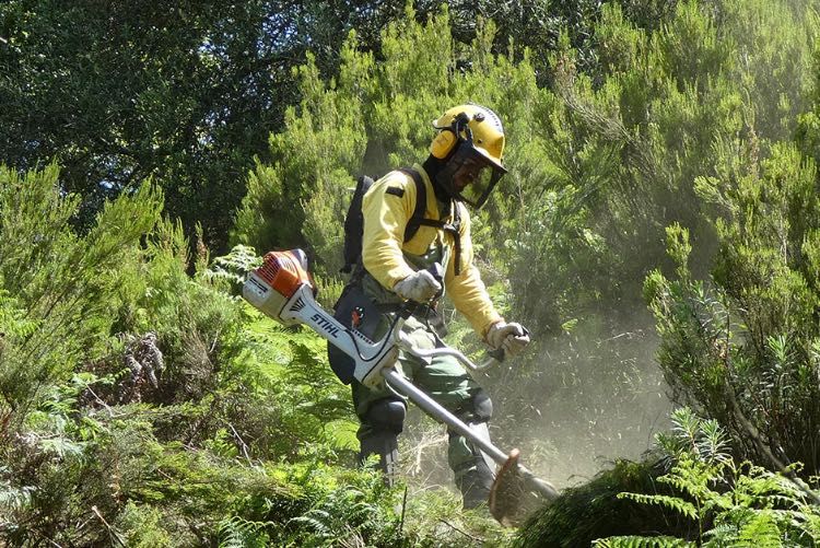 Todo o tipo de serviço de limpeza terrenos