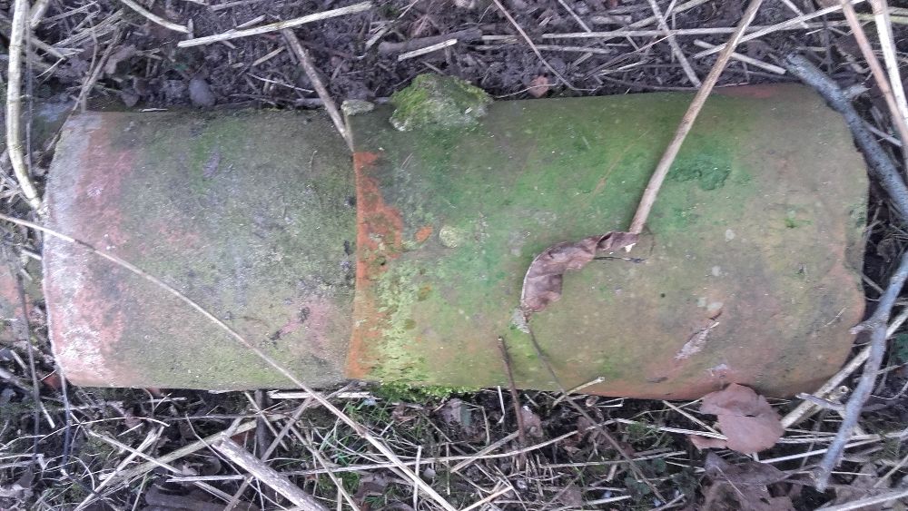 Gasior Gosiory do Dachowki Karpiowki Betonowej