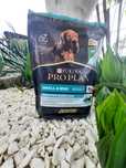 Karma Purina Pro Plan
