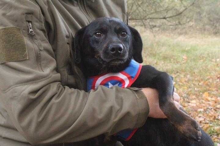 LUTEK czeka na domek