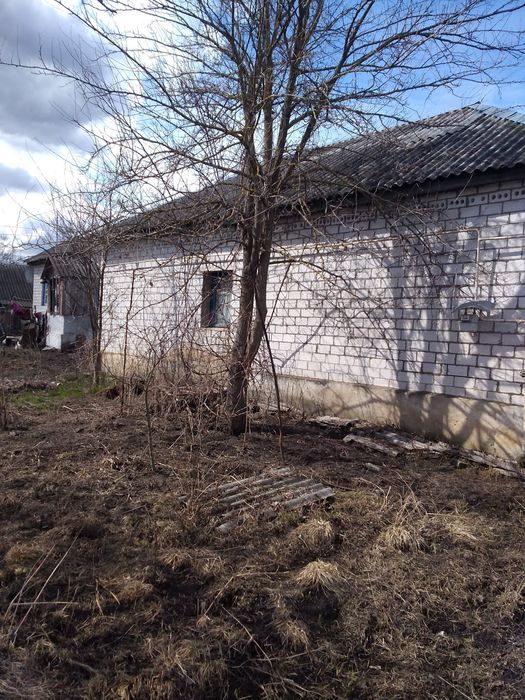 Гарний будинок в мальовничому селі...