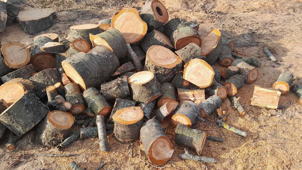 Продам дрова чурки черешня