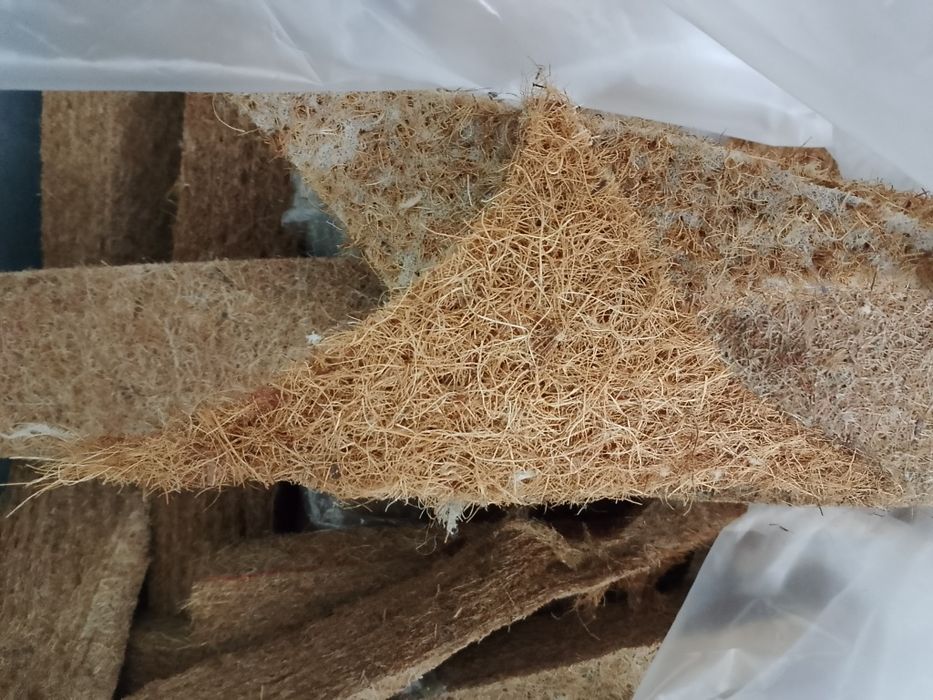 Włokno kokosowe , ścinka wypełnienie podkład