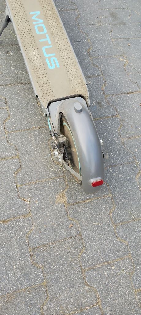 Motus scooty 10 plus 2022