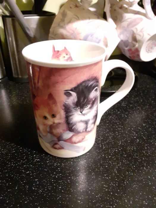 Śliczny kubek z kotkami