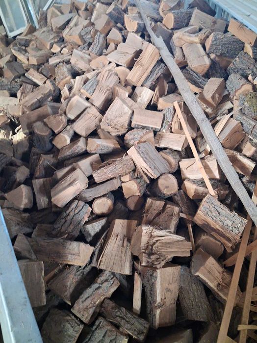 Drewno opałowe dębowe
