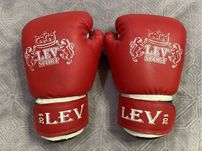 Боксерские перчатки / рукавиці для боксу Lev (розмір 6OZ)