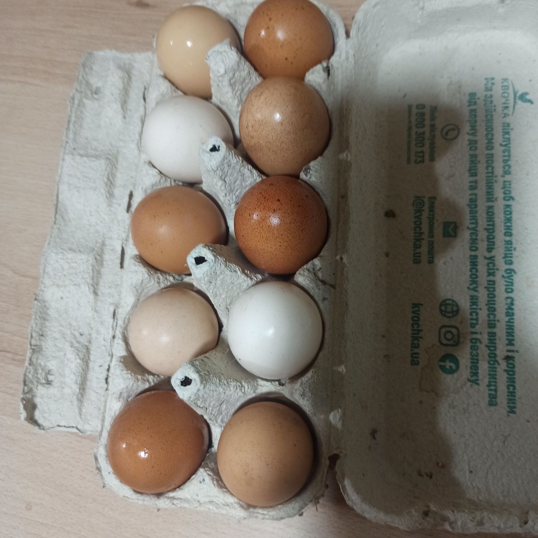 Яйця курячі домашні