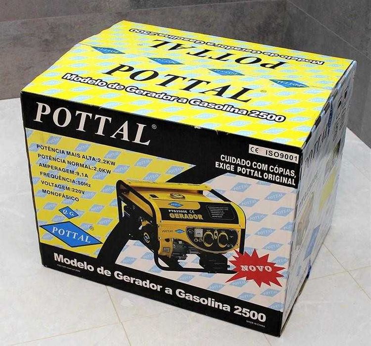 Генератор зі стартером та мідною обмоткою Pottal 2,2 кВт PTG2500E