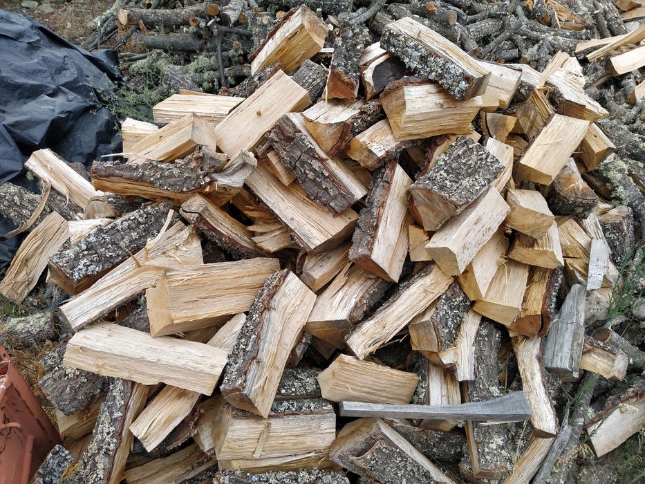 Lenha mistura seca