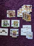 Cartas e animais 3D Auchan - Wildlife Explorer NationalGeographic Kids