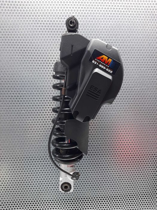 Serwis naprawa regeneracja amortyzator BMW GS R F RT K S motocykle ESA