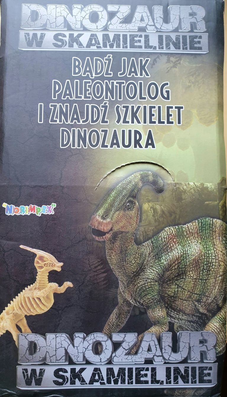 Dinozaury w skamielinie dino szkielet paleontologia