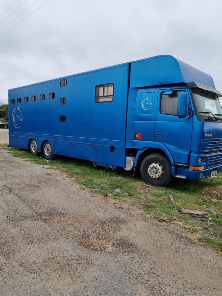 Camião de Transporte de Cavalos