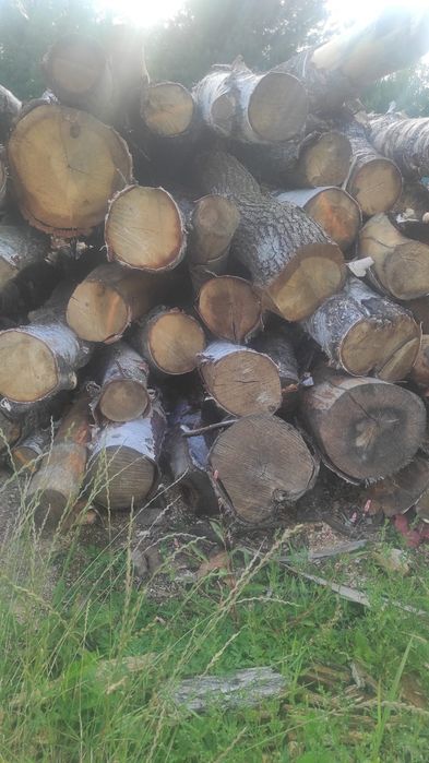 Drewno kominkowe, opałowe, opał, ogrzewanie