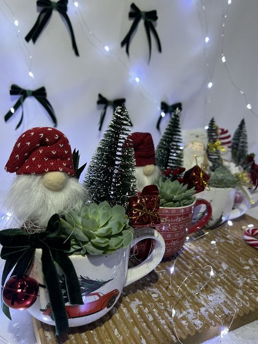 Новорічна композиція в чашці з живими сукулентами